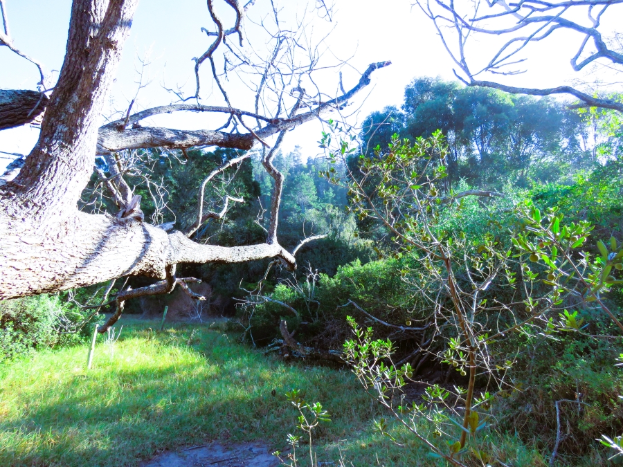 0 Bedroom Property for Sale in Keurbooms Western Cape